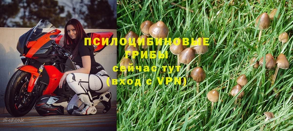ГАЛЛЮЦИНОГЕННЫЕ ГРИБЫ Арсеньев