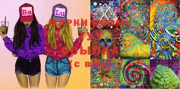 PSILOCYBIN Переславль-Залесский