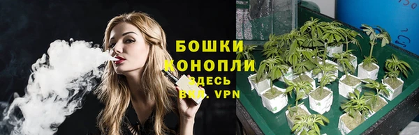 apvp Пестово