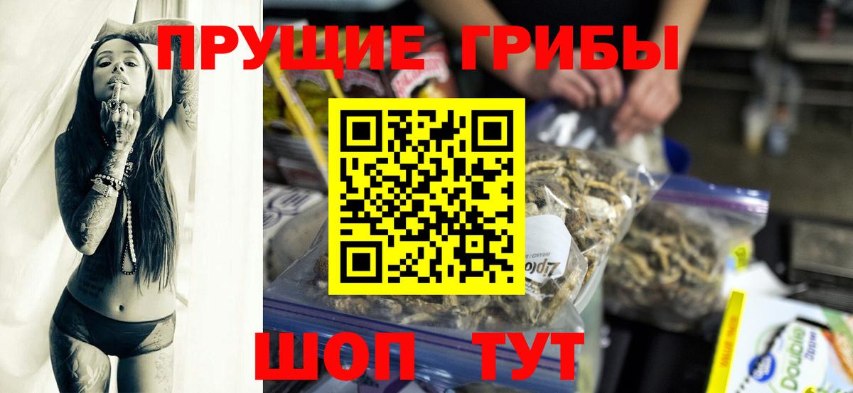 Галлюциногенные грибы прущие грибы  Вход с VPN  Верхняя Салда 